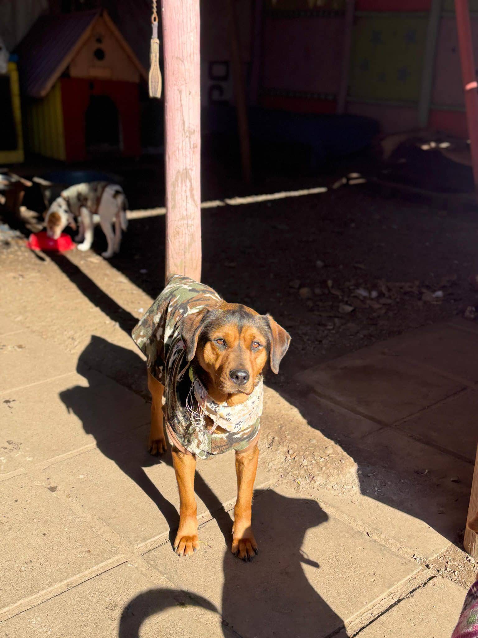 WhatsApp Image 2025-10-09 at 15.45.17