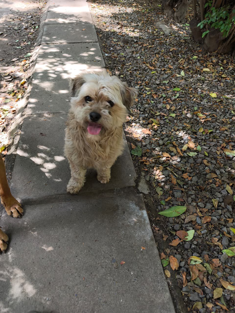 WhatsApp Image 2025-10-09 at 15.45.55