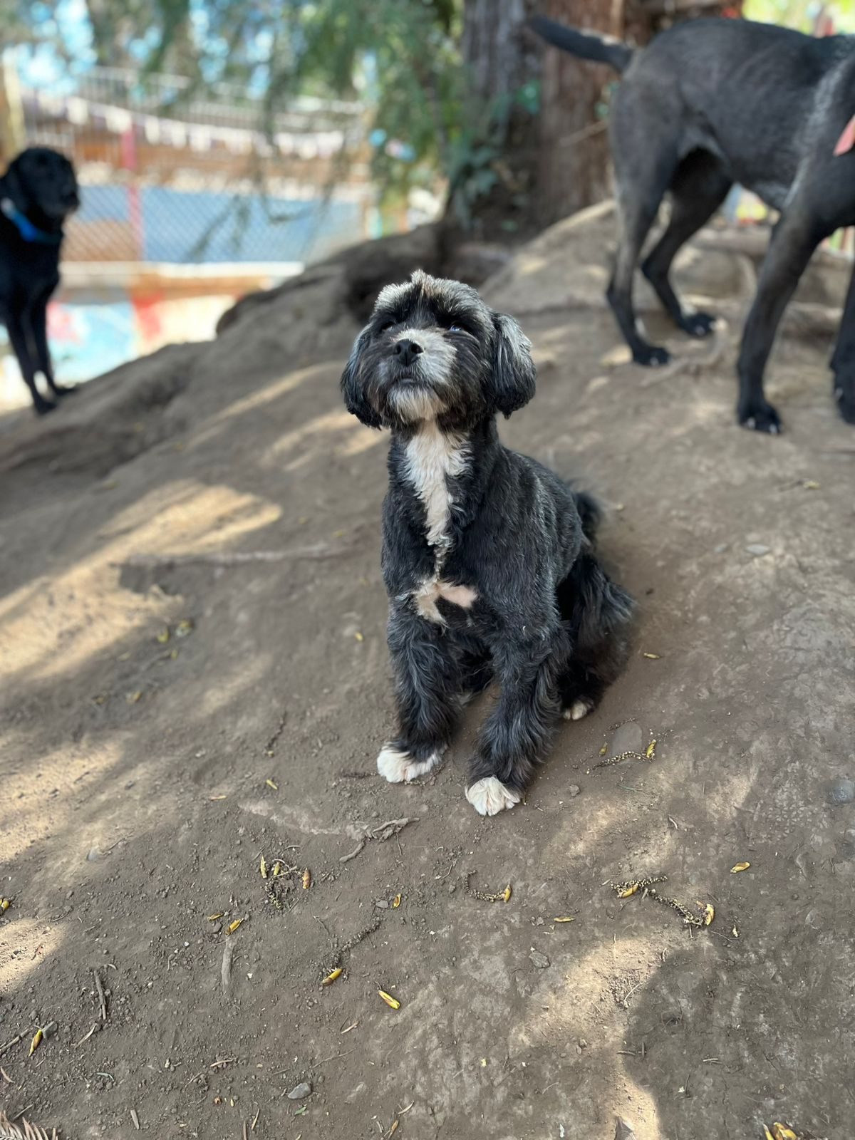 WhatsApp Image 2025-10-10 at 18.21.46