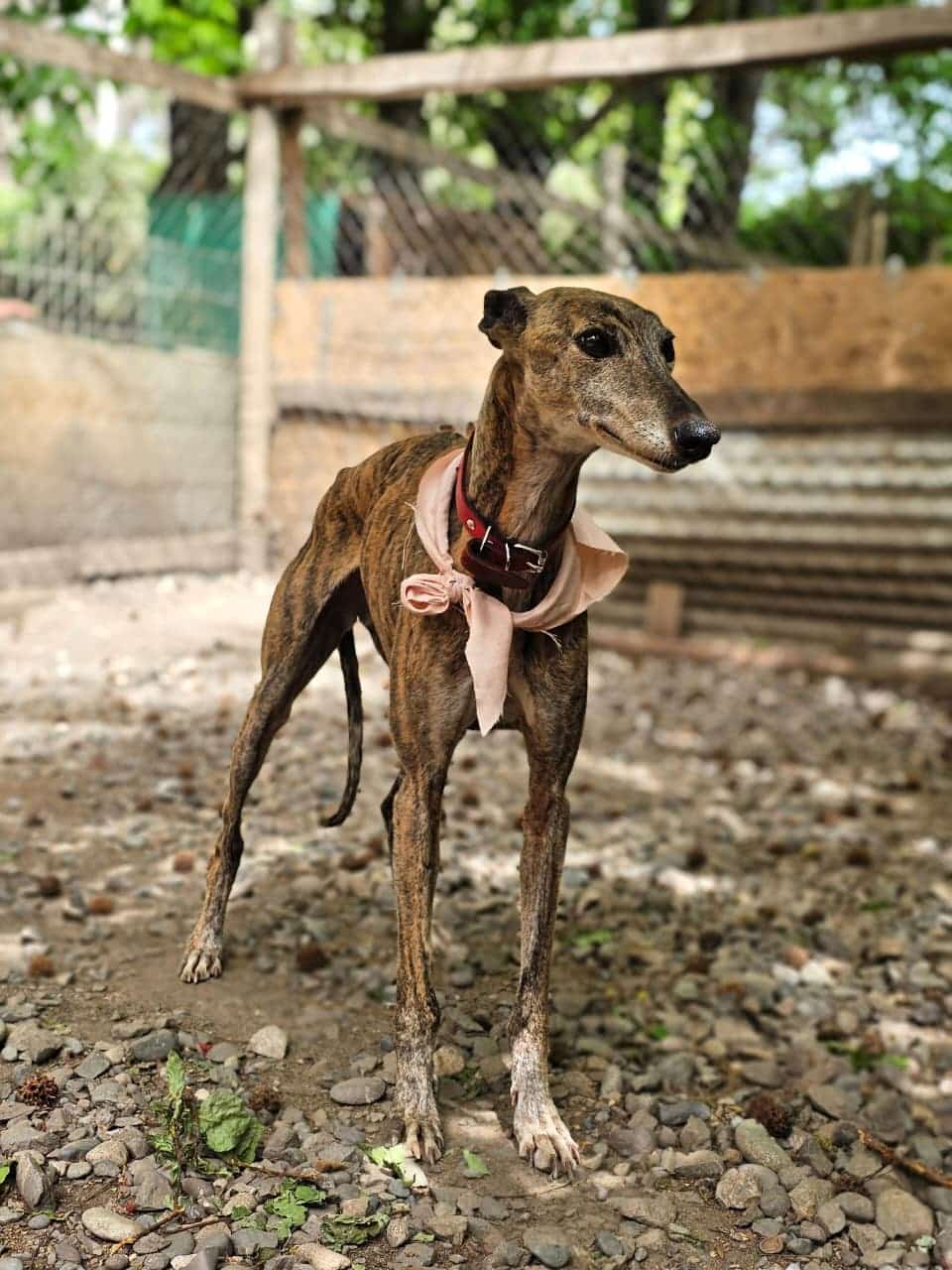 WhatsApp Image 2025-11-21 at 16.56.25