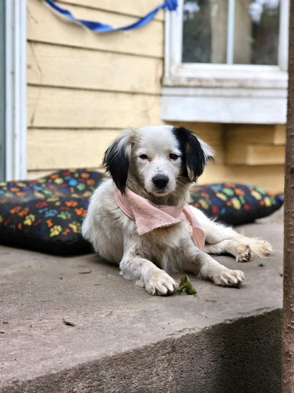 WhatsApp Image 2025-11-21 at 16.58.47