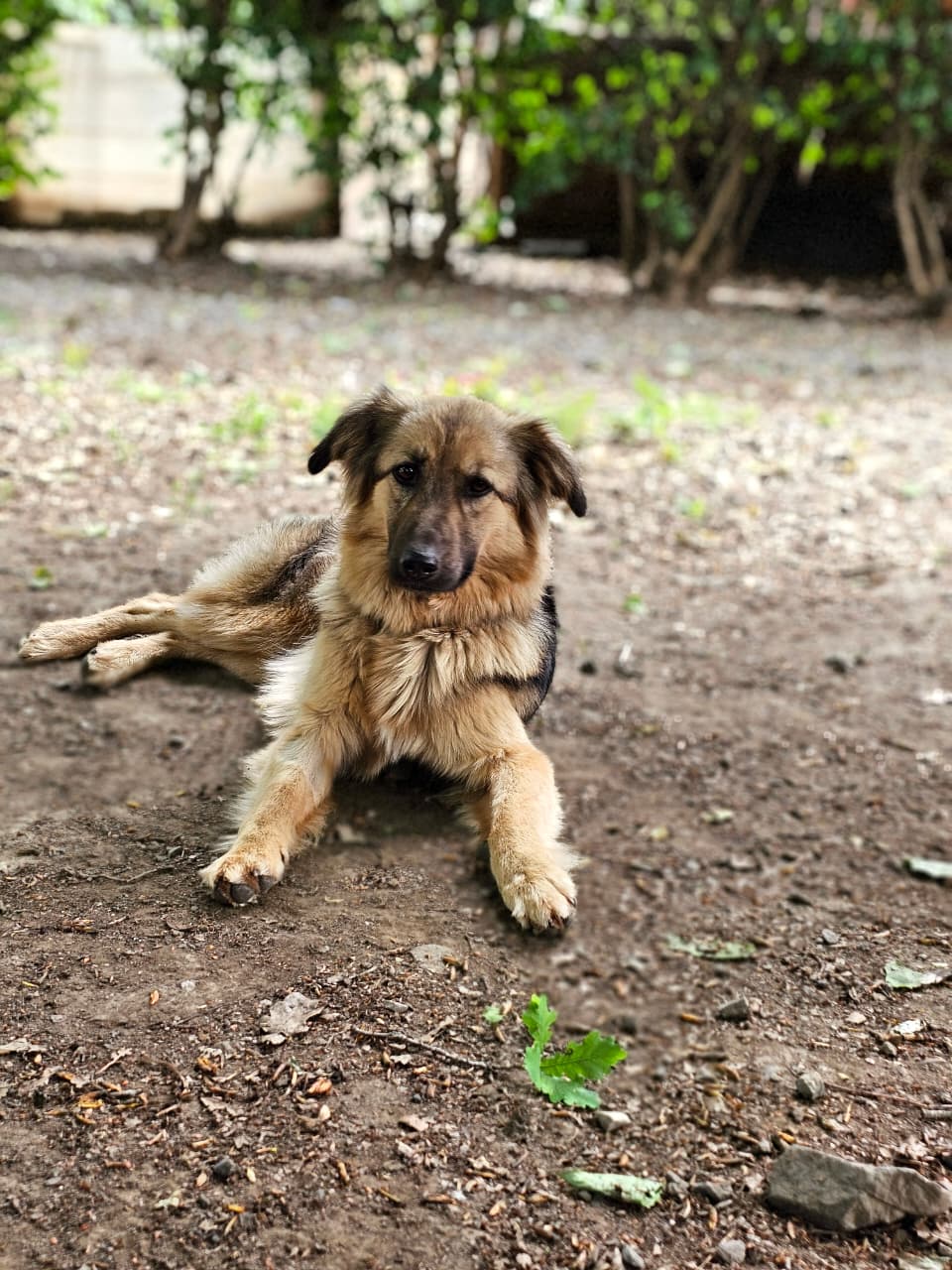 WhatsApp Image 2025-11-21 at 17.06.00