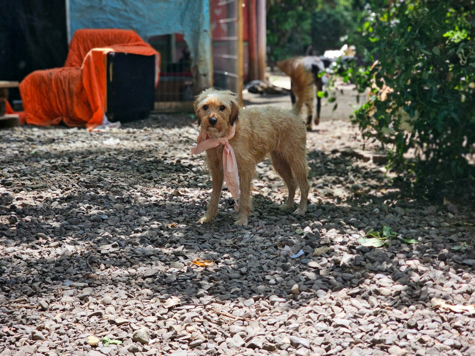 WhatsApp Image 2025-11-21 at 17.07.12