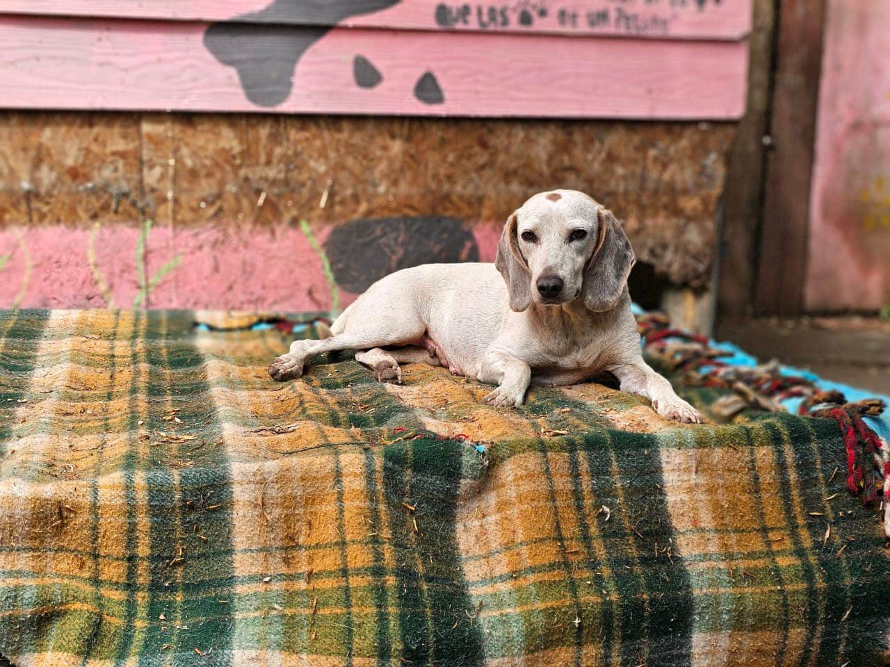 WhatsApp Image 2025-11-21 at 17.10.55