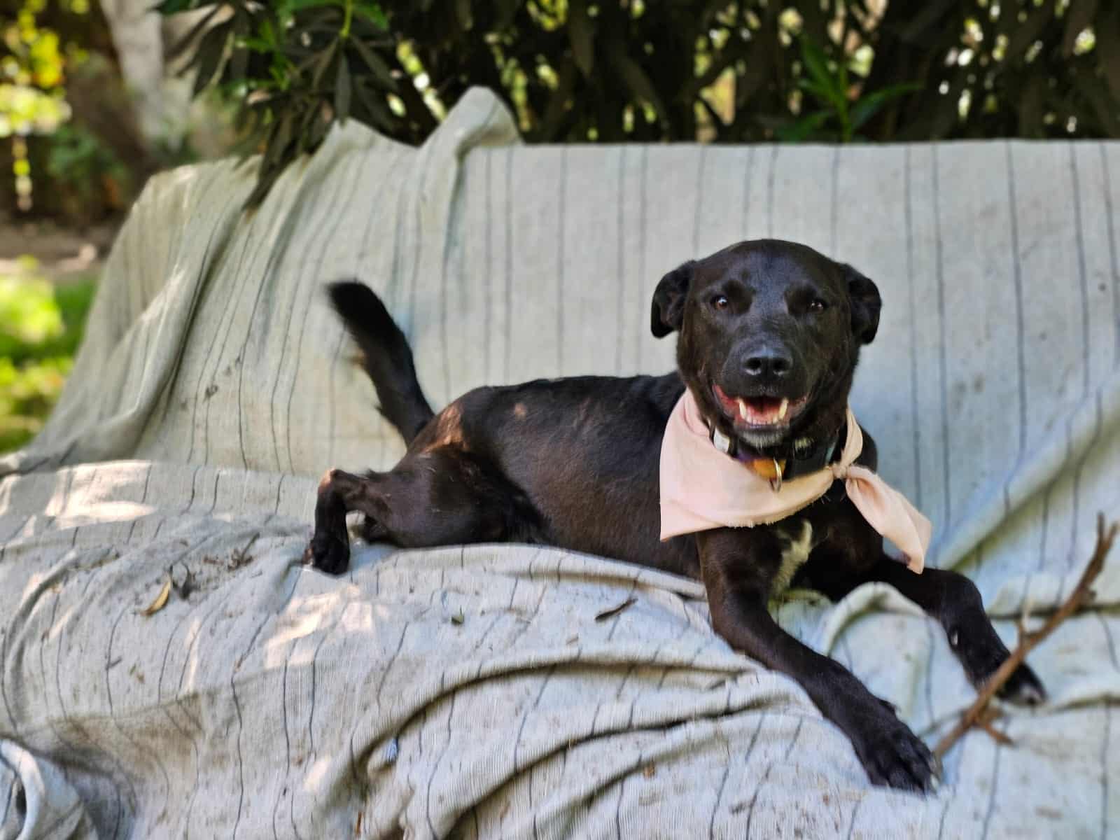 WhatsApp Image 2025-11-21 at 17.24.58