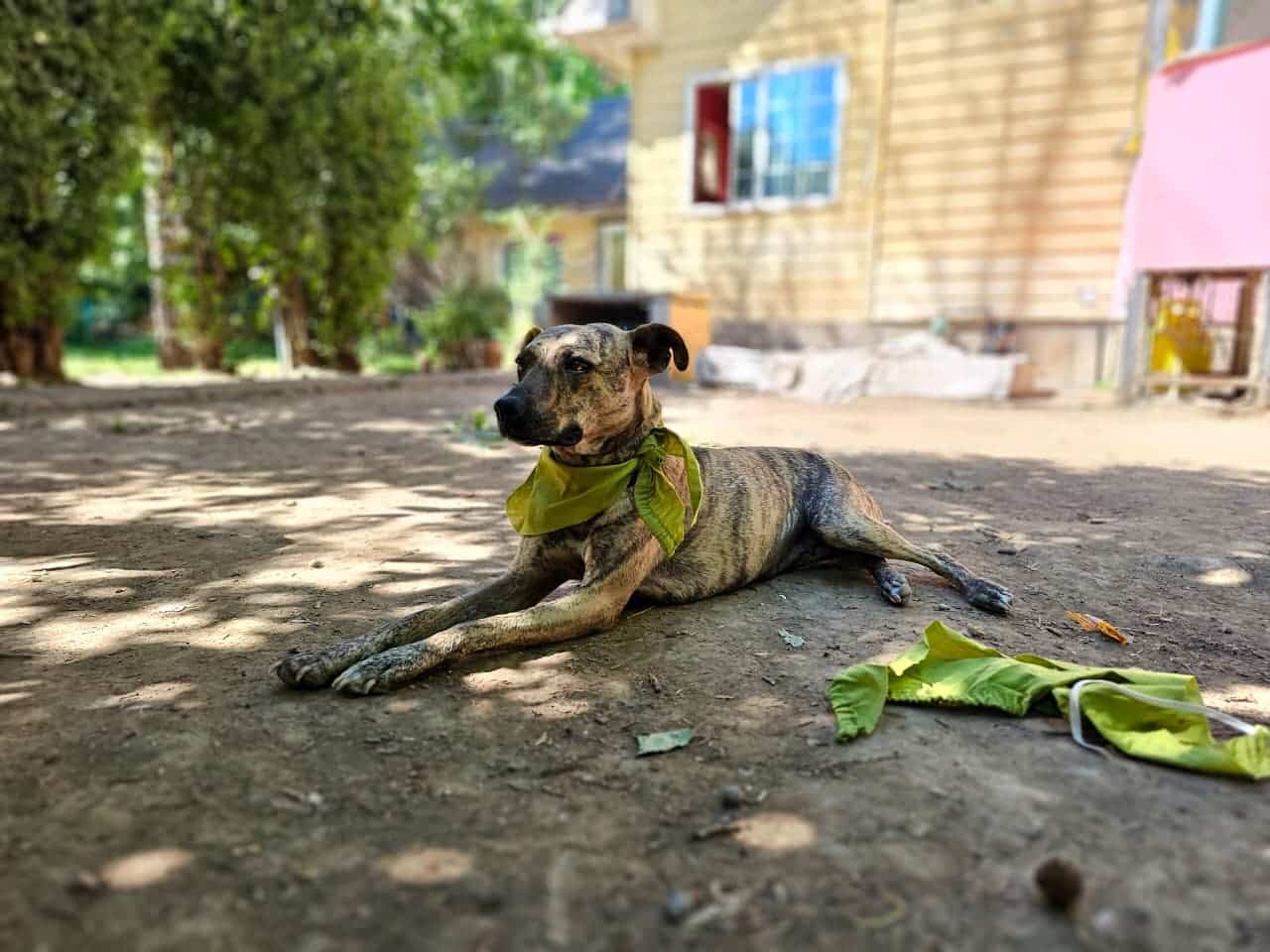 WhatsApp Image 2025-11-21 at 17.28.58