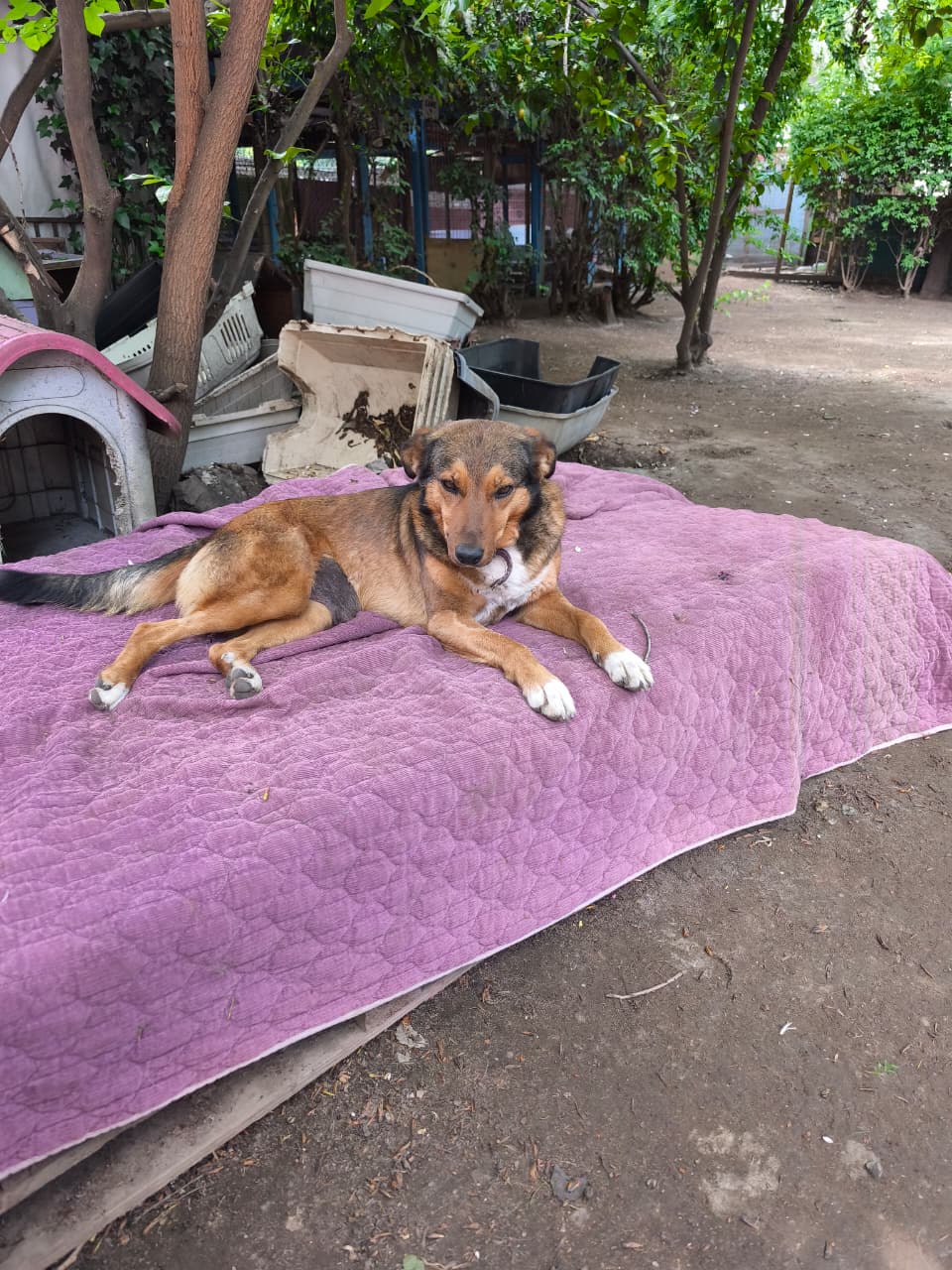 WhatsApp Image 2026-01-27 at 13.33.29