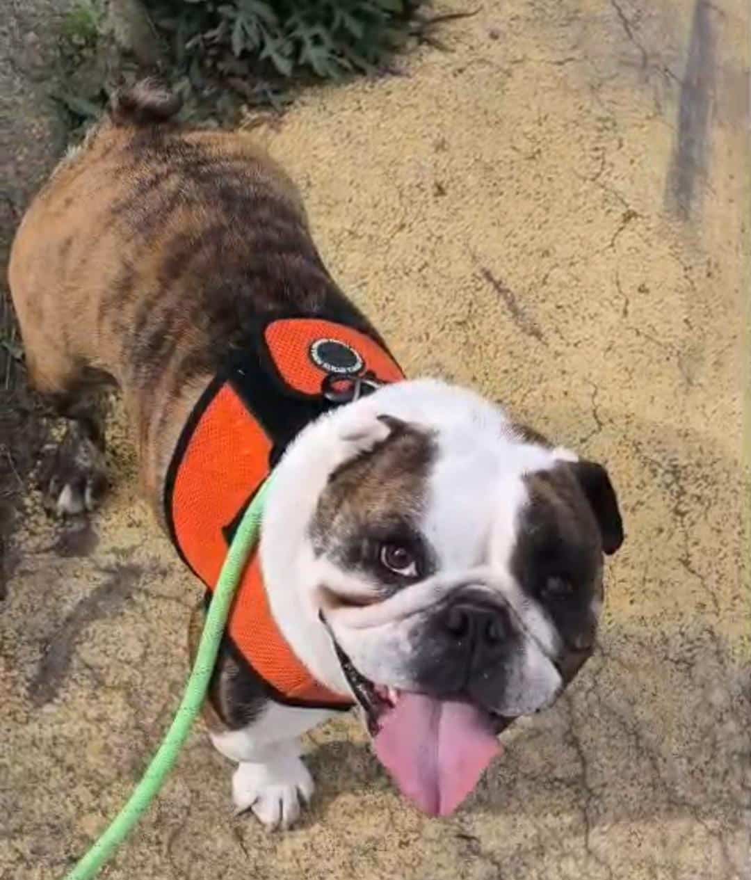 WhatsApp Image 2026-02-02 at 13.10.30